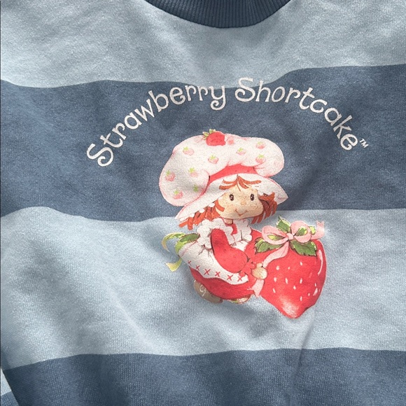 NWOT Strawberry Shortcake Blue Striped Sweatshirt - size XS - Picture 3 of 3